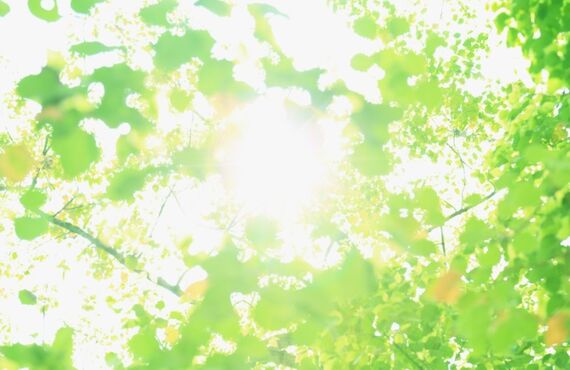 ★★24時間いつでも★★　日払いを受け取れるアプリ導入！！ピアレス東京営業所で警備員を募集！！