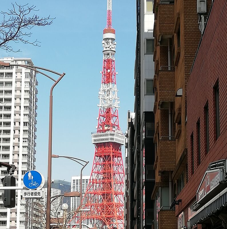 港区田町から観る東京タワー2